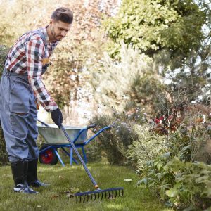 Gardener raking leaves in the garden